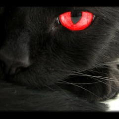 GGK-Blindfolded Cat(Original Mix)