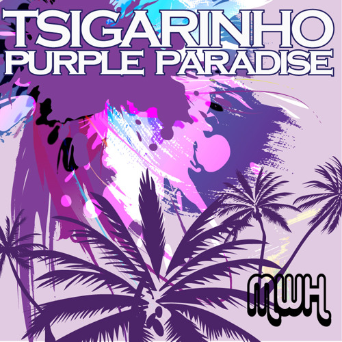 Soulful Experience (Original Mix) - Tsigarinho