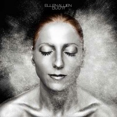 Ellen Allien - Sun The Rain