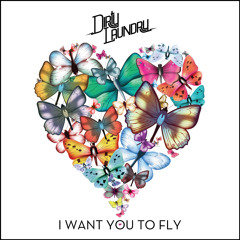 I Want You To Fly (Mr Timothy Remix)