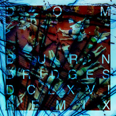Dom - Burn Bridges (DCLXVI Remix)