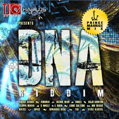 DNA Riddim 2010 Mix - Prince Maurice