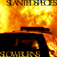 Slow Burns