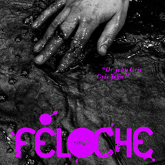 FELOCHE - Dr John Gris-Gris John (Radio Edit)