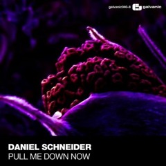 Daniel Schneider - Pull Me Down Now  (preview)