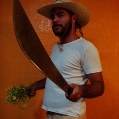 Lil' Summer set 2010 NTZ11