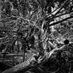 Collie Buddz - Tomorrows another day (Strumone 98% jungle Refix)