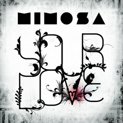 Your Love - Your Love EP 2010