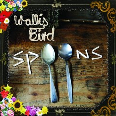 Wallis Bird - When Hope Is A Dream SNIP