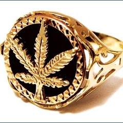 Champagne Powder - Euroganjah