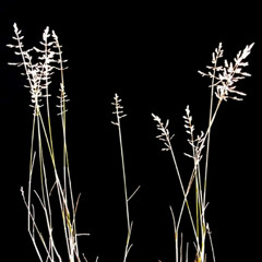 Martin Clarke - States 3