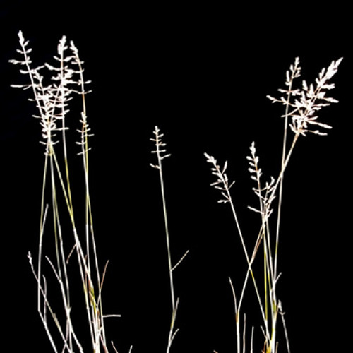 Martin Clarke - States 3