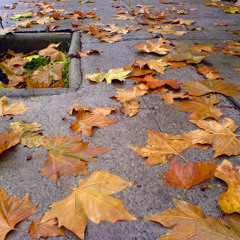 Lluvia de Otoño