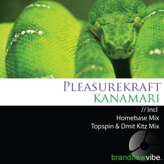 Pleasurekraft-Kanamari-(Homebase Remix)[Brandnewvibe]