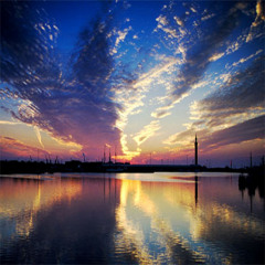 Up'd (universal public declaration)