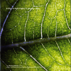 Carbon Based Lifeforms - Photosynthesis