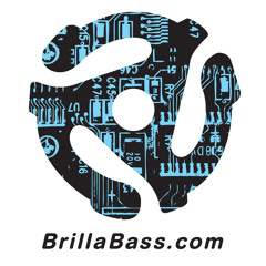 Sxip Shirey - You Can Ring My Bell (Brilla Remix)