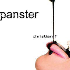 patchwork reality - panster