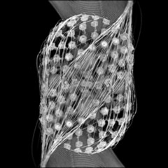 electroencephalograph