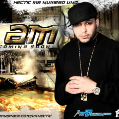 Hectic feat. C.Brown I Put In Work