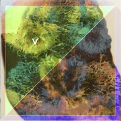 Violens - Acid Reign