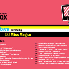 DJ Miss Megan - Heat Wave