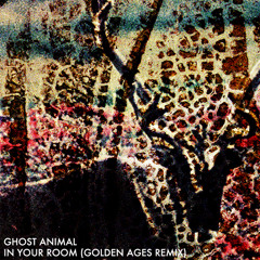 Ghost Animal - In Your Room (Golden Ages Remix)