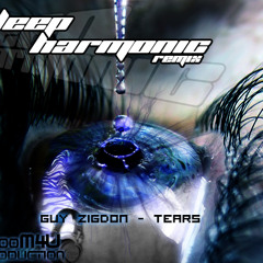 Guy Zigdon - Tears (Deep Harmonic Remix 2010 )