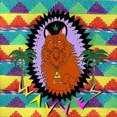 Wavves - King of the Beach
