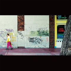 RADIO SLAVE - N.I.N.A (DJ SNEAK REMIX)