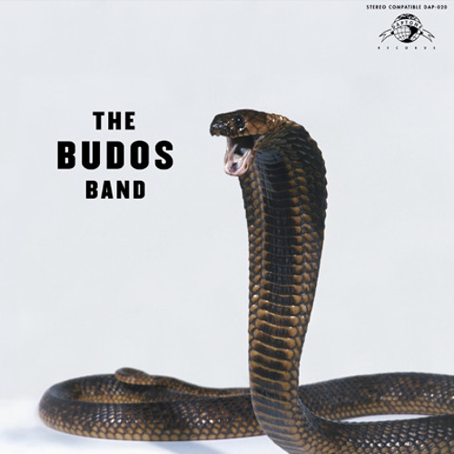 The Budos Band - Unbroken, Unshaven