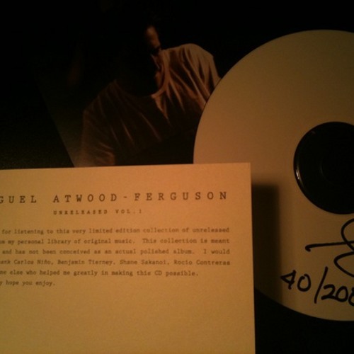 Miguel Atwood-Ferguson • Sounds Like Love (rmx)