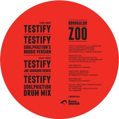 Boohgaloo Zoo - Testify (Joe Goddard Remix)