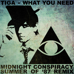 Tiga - What You Need (Midnight Conspiracy Summer of '87 Remix) *Free Download*