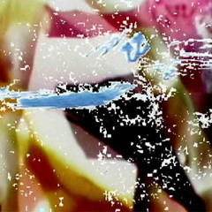 RUNNERS - STAY FROSTY