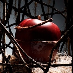 The slow down- Traveling in Stereo: Basement skylights