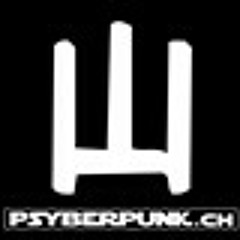 PsyberpunK OpenAirmix-2009