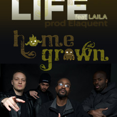 Homegrown - Day in the Life feat. Laila (prod. Elaquent)