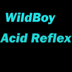 01 WildBoy - Acid Safari