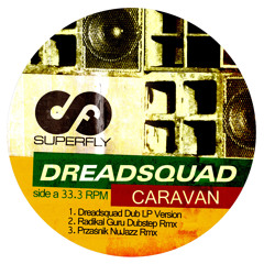 Dreadsquad - Caravan (Radikal Guru Dubstep Rmx)