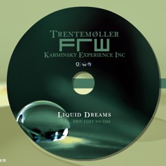 Trentemøller & Karminsky Exp Inc- liquid dreams (FRW Lounge Master 2010)