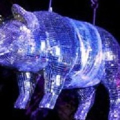 D ark-last Silberschwein@Silberschweinhalle Grüner Weg Colongne 27-03-09