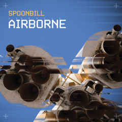 Spoonbill - Framed By Funk