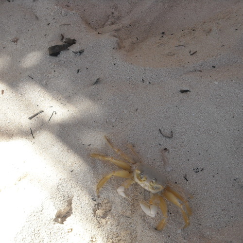 Prodigy - One Love (MD Remix)