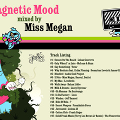 DJ Miss Megan - Magnetic Mood