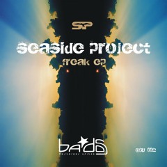 Seaside Project - Come On (Sober & Sobar RMX) - [432]*