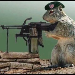 Noisia & 16Bit vs Ajapai - Warning Machine Gun (Damgroove Rework)