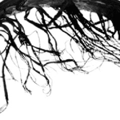 DasDing Plattenleger 20.05.2006