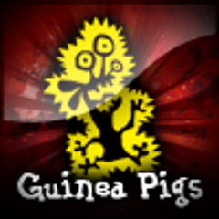 Guinea pigs - have a nice flight