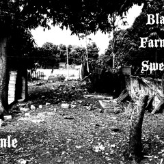 Black Farm In Sweden